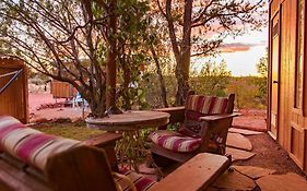 The Mountain Lion - Horses Sedona'S Most Loved